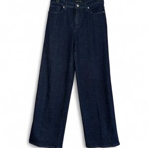 Banana Republic Premium Denim High-Rise Wide Leg Jeans | Size 28 Regular